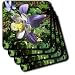 Columbine Flower - Set Of 4 Coasters - Soft