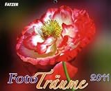 Foto-Träume 2011