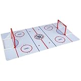 Hockey Rink Surface