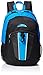 Trailmaker Boys' Carbiena Panel Backpack