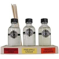 Citrus Theme Archipelago Gift Mini Diffuser Set: 3 scents in gift box, 4.9 fl oz