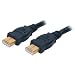 Electronics : HP 6 Ft Firewire Cable 6 Pin To 6 Pin