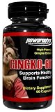 GINGKO-60 - 90 Capsules 60mg Ginkgo Biloba Supports Healthy Brain and Memory Function
