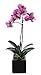 House of Silk Flowers Artificial 17-Inch Phalaenopsis Orchid, Mini, Lavender