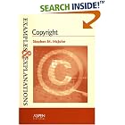 Copyright: Examples And Explanations (Examples and Explanations) by Stephen M. McJohn