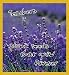 Teachers plant seeds that grow forever Bookmark Image