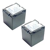 Pro Power CGRDU06 A/1B CGADU21 CGADU21A/1B Battery 2-Pak for Panasonic for a Variety of DZ / PV / VDR Series Cameras ** Includes MINI-TRIPOD **