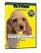 cocker spaniel - Cocker Spaniel DVD, Dog Guide DVD, Books, Pet Accessory, Home & Garden