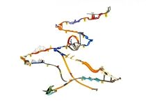Hot Wheels - Wall Track Basis-Sortiment