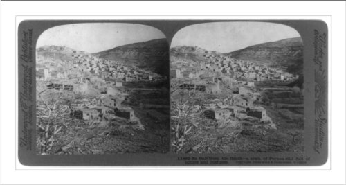 Historic Print (S): Es Salt from the South - a town of Peraea still full of homes and business