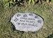 Dogs Leave Paw Prints on our Hearts Tiding Stone