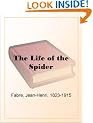The Life of the Spider