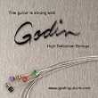Godin E-9 Nickel Super Tops - Regular Bottoms Electric Guitar Strings