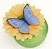 Blue Butterfly on Gerber Daisy Keepsake Glass Box Ibis & Orchid Flower Collection