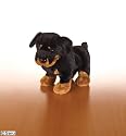 Webkinz Ganz Rottweiler