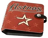 Houston Astros Rock N' Road CD Holder