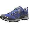 Lowa Men's Innox GTX Lo Hiking Shoe
