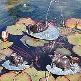 Water Pond Decor