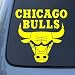 CHICAGO BULLS - Vinyl Decal Sticker #A1339 | Vinyl Color: Yellow