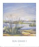 IMAGE OF Oliver Norton - Sea Grass I Size 24x19.75 Finest LAMINATED Print Oliver Norton 20x24