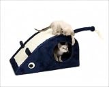 Photographic Print of Cat - Kittens playing with large toy mouse from Ardea