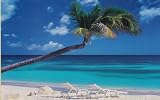 Ocean Breeze Wall Mural