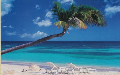wall murals