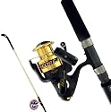 Shakespeare Ugly Stik 10' Saltwater Fishing Rod & Reel
