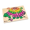 Spanish Alphabet Turtle Puzzle