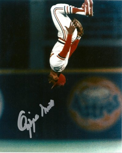OZZIE SMITH,ST LOUIS CARDINALS,CARDINALS,THE WIZARD,HALL OF FAME,HOF,SIGNED,AUTOGRAPHED 8X10,PHOTO,COA,PROOF PIC
