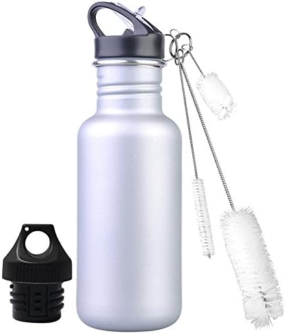 Stainless Steel Sport Water Bottle With 3pcs Brushes 2 Lids include a Loop&amp;Straw,BPA Free (L.&amp;G.) 20oz Silver