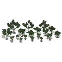Deciduous Tree Kit, 3/4"-3" (21)