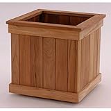 Teak Planter Box Cubed Size: 24