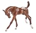 Breyer Colorful Foals Dun Quarter Horse and Chestnut Appaloosa Foal