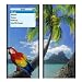Parrot Design Decal Skin Sticker for Apple iPod nano 2G (2nd Generation) 2GB/ 4GB/ 8GB Player