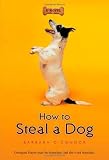How to Steal a Dog