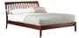 Modus Furniture Newport Queen Size Platform Bed, Cordovan