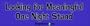 Looking For Meaningful One Night Stand - Refrigerator Magnets 7x2 in