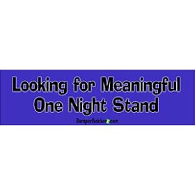 Looking For Meaningful One Night Stand - Refrigerator Magnets 7x2 in