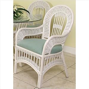 St. Lucia Indoor Rattan Arm Chair in White Wash Finish Fabric: Palm Grove