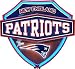 New England Patriots NFL Neon Shield Wall Lamp