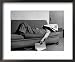 Writer Niven Busch Lying on Sofa with Newspaper over His Face as He Takes Nap from Screenwriting Framed Art Poster Print by Paul Dorsey, 22x18