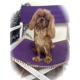 From The Desk Of A Dog Diva: furballs of fun by a fido fanatic