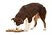 Wag Haus Slow Feeder Bowl - Guzzle Muzzle Large Dog Feeder For Fast Eaters, Pet Dish Helps Prevent Bloating, Gas, Upset Stomach, Diarrhea, Eating Is Slowed Down From Seconds To Minutes