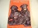 Labrador Retrievers