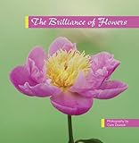 The brilliance of flowers