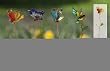 Evergreen 48669 Garden Metal and Glass Stakes, Garden Friends, Set of 4, 48-I... Evergreen 48669 Garden Metal and Glass Stakes, Garden Friends, Set of 4, 48-I...