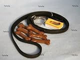 'Dog Training Equipment' Wall Decal - 24