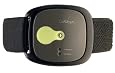 GoWear fit Lifestyle and Calorie Management System