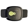 GoWear fit Lifestyle and Calorie Management System